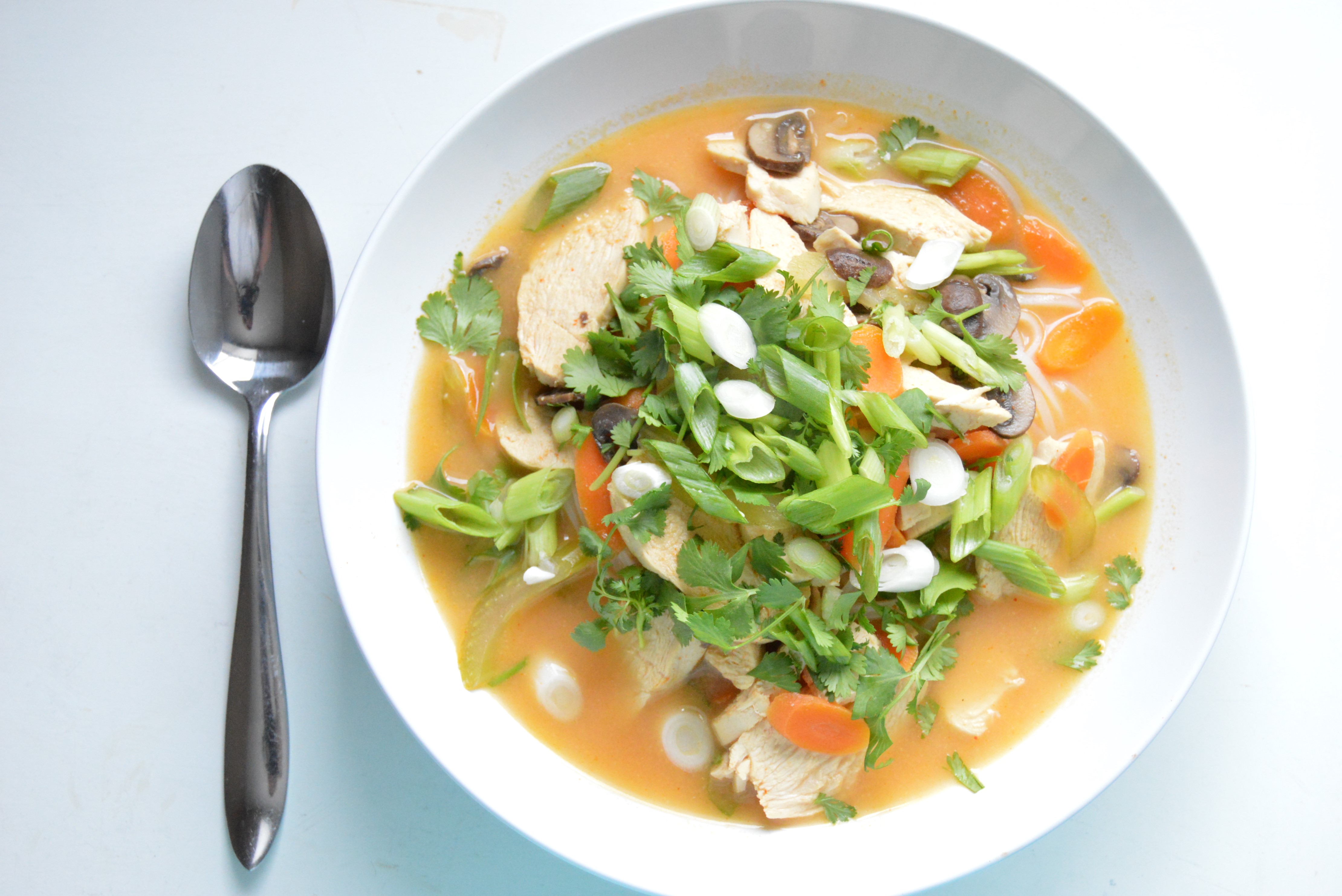 Coconut Curry Chicken Noodle Soup